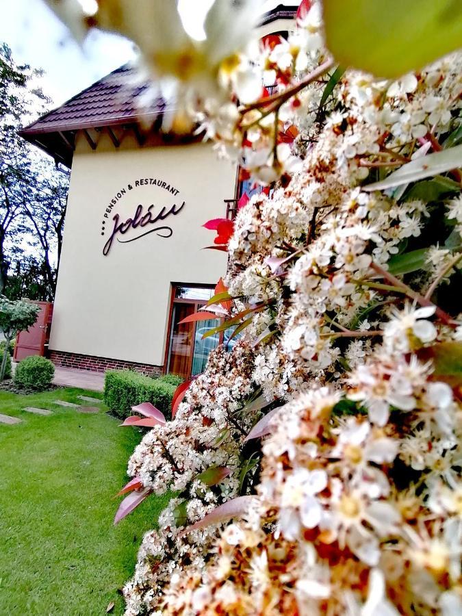 Jolan Pension & Restaurant Cicov Luaran gambar